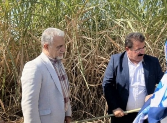 مصطفی رحمان‌دوست شاعر نوستالژی و خاطره در شکرستان ایران؛ خاطرات کودکی با شکرستان ادبی زنده شد